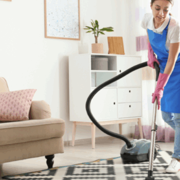 Professional Cleaning