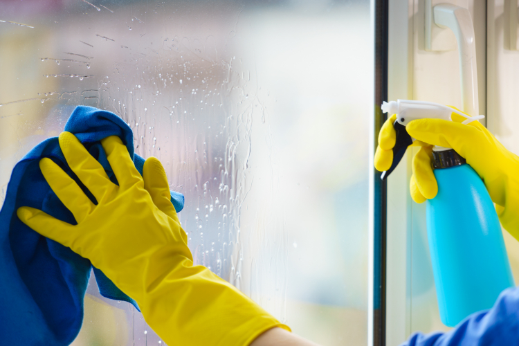 Window Cleaning Services